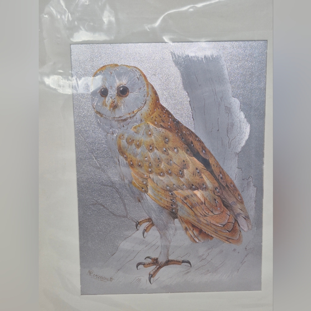 Green Smith Signed Foil Owl Picture